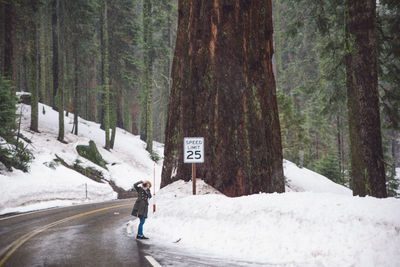 Woman photographing in snow covered forest