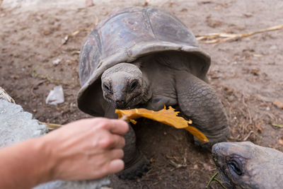 Person eating food