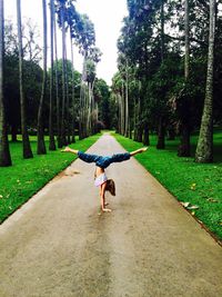 Teenage girl practicing handstand on footpath amidst trees