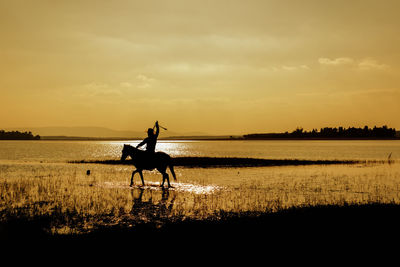 Silhouette people riding horse on shore against sunset sky