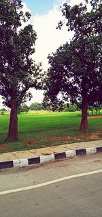 Bench in park against sky