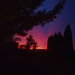 Silhouette trees against sky at night