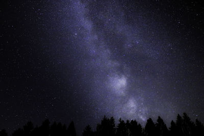 Low angle view of trees against sky at night