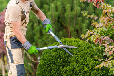 Midsection of gardener using pruning shears
