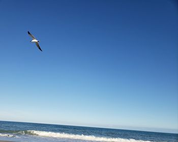 Seagull flying over sea against clear blue sky