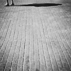 shadow