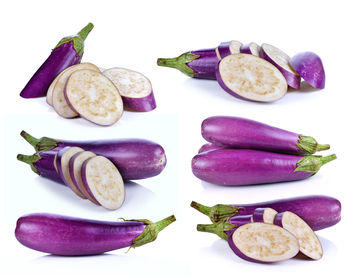 Close-up of food against white background