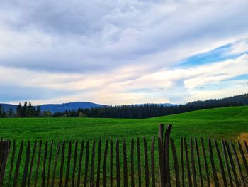 Scenic view of agricultural field against sky