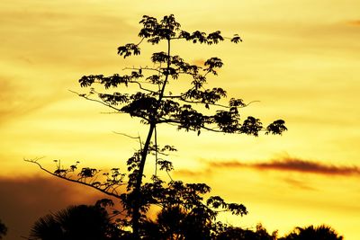 Low angle view of silhouette tree against sky at sunset