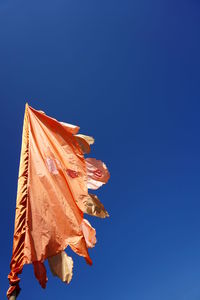 Low angle view of orange leaf against blue sky