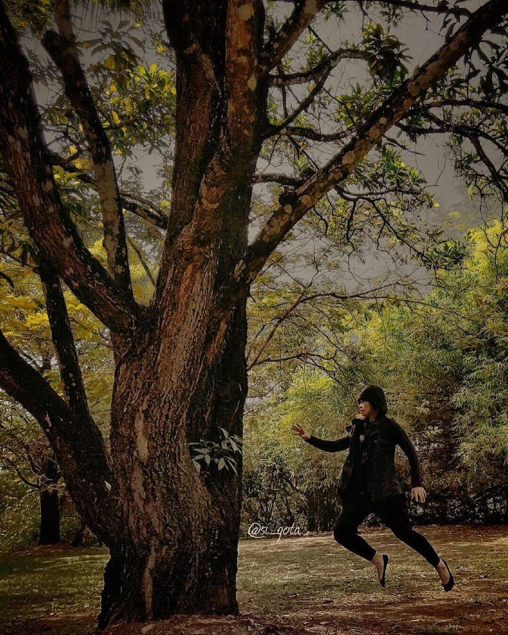 tree, real people, plant, one person, leisure activity, full length, trunk, tree trunk, nature, lifestyles, casual clothing, day, growth, jumping, land, outdoors, branch, motion, front view, human arm