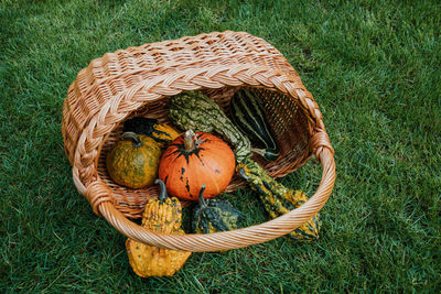 High angle view of pumpkin with basket on grassy field