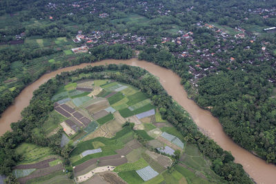 High angle view of agricultural field