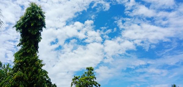 Low angle view of trees against cloudy sky