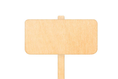 Close-up of an animal against white background