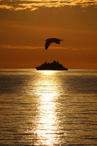 Silhouette bird flying over sea against sky during sunset