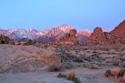 Scenic view of landscape against clear sky