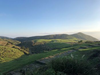 Scenic view of field against clear sky