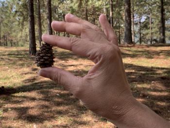 Midsection of person in forest