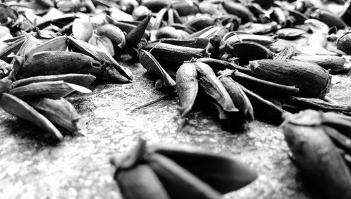 Close-up of pebbles on beach