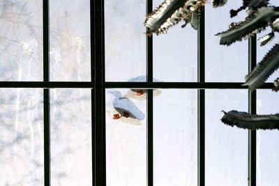 Directly below shot of birds on roof against sky