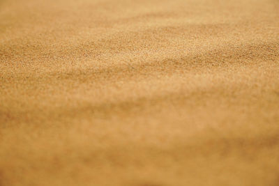 Full frame shot of sand