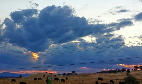 Scenic view of landscape against cloudy sky