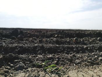 Surface level of barren landscape against sky