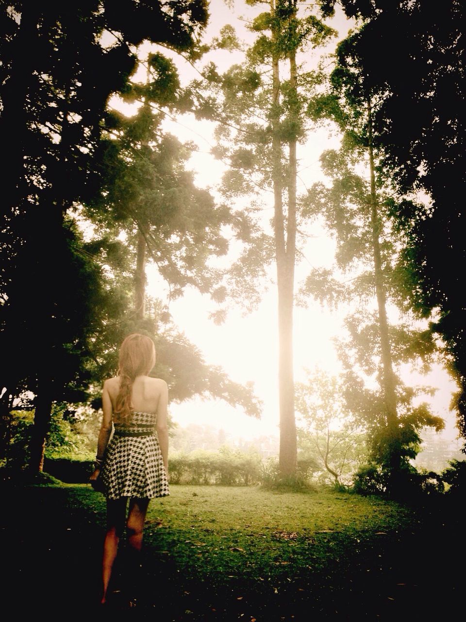 tree, lifestyles, leisure activity, grass, full length, childhood, rear view, standing, park - man made space, casual clothing, girls, growth, sunlight, nature, field, tranquility, boys, person