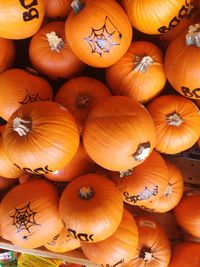 Full frame of pumpkins