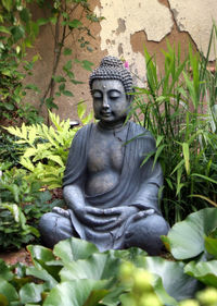 Statue of buddha by plants in garden