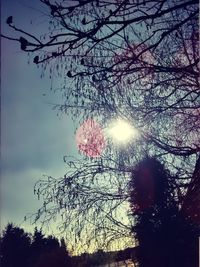 Low angle view of silhouette trees against sky during sunset