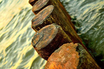 Close-up of rocks