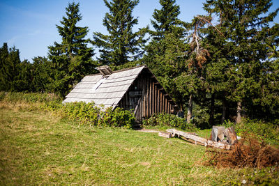 View of wooden house on field