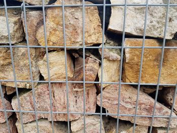 Full frame shot of cat