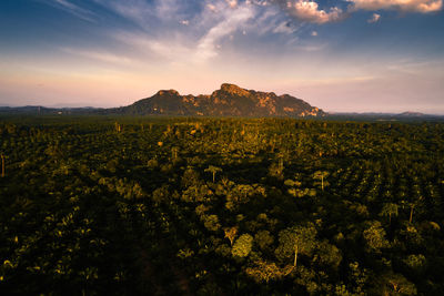 Scenic view of landscape against sky during sunset