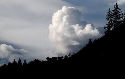 Low angle view of silhouette trees against sky