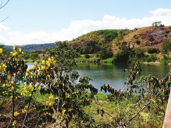 Scenic view of lake and mountains