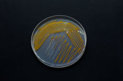 High angle view of glass on table against black background