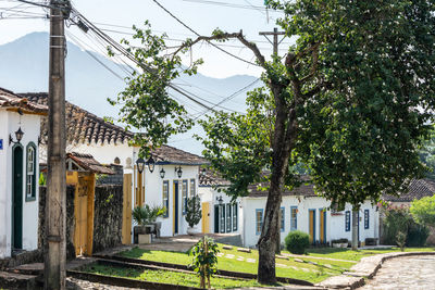 Houses and trees against sky