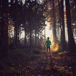 People standing on tree trunk in forest