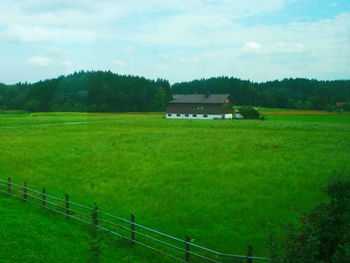 Scenic view of grassy field against sky