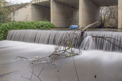 Plants growing by lake against built structure