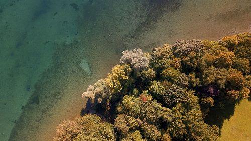 High angle view of plants by sea