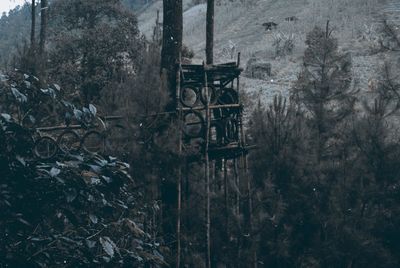 Abandoned building by trees on field