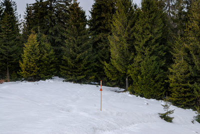 Avalanche warning sign