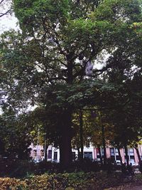 Built structure with trees in background