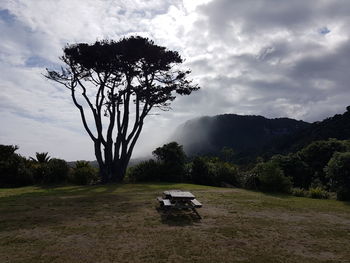 Trees on field against sky