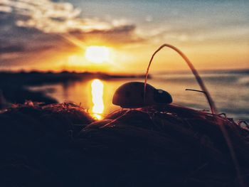 View of sunset over sea