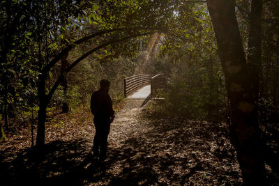 Rear view of man walking in forest